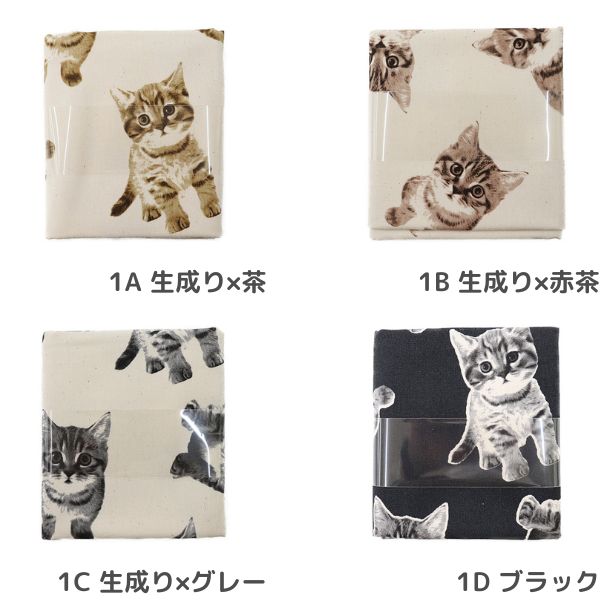 ���� ���å����ץ��� �ͤ��� ��50cm���åȥ������� 38133-1