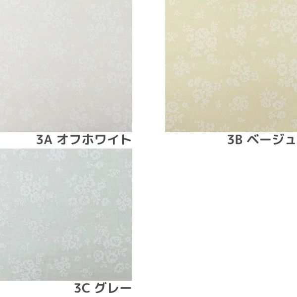 ���� ����������å��� ���� DC4800-3