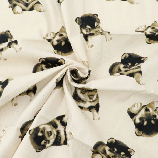 きぬ様 Amazon | 真綿 絹100％ 8g | 裁縫材料 通販