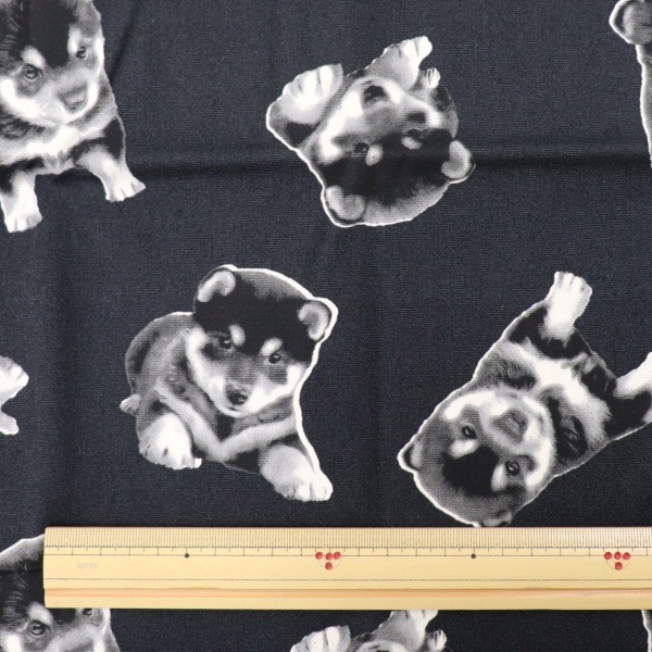 きぬ様 Amazon | 真綿 絹100％ 8g | 裁縫材料 通販