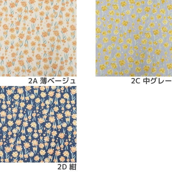  ⥯  AGù  YPA-46020-2