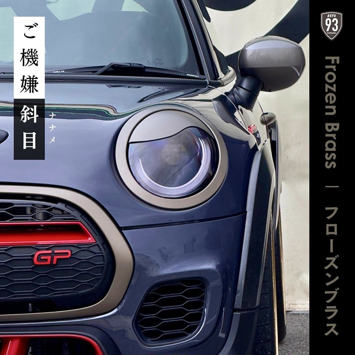 �ե�������֥饹��MINI F54,F55,F56,F57���� ����������(�ʥʥ�)��ANGRY EYELID COVER