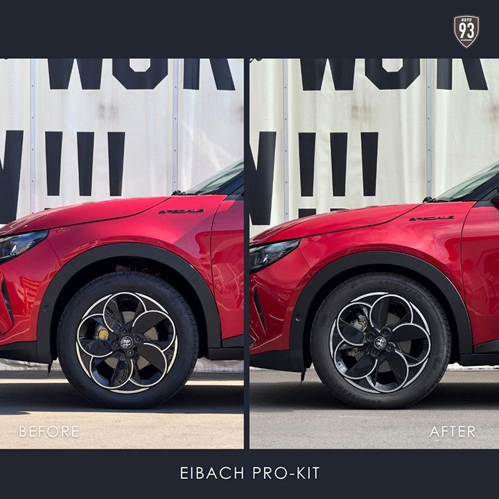 EIBACH(�����Хå�) PRO KIT for ALFAROMEO JUNIOR IBRIDA(2WD)