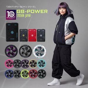 ����̵�� ��Ĵ�������� �Хåƥ꡼ �ե��� 30V �ʥ��åȡ�ñ�ʡ�Ĺ������ѥ� ���֥���� �������Хåƥ꡼ GB430 GB430PD GFX ��®���� GB-POWER 15�����ݾ� EF������ ��Ĵ�����
