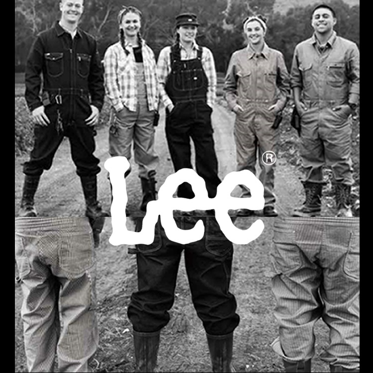 ̵Lee С   ڥå  LWU39002  ǥ