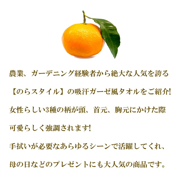 �Τ饹������ ������ �������� ��ǥ����� ���Ƚ��� �����ǥ˥� �۴� UV�к� NS-979