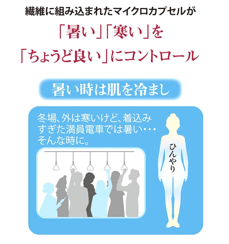 ������ ʢ�� ʢ���ѥ�� ��ǥ����� ���硼�ȥ����� �����ȥ饹�� �����륷�������б� ������ GG-5005 �����դ�����