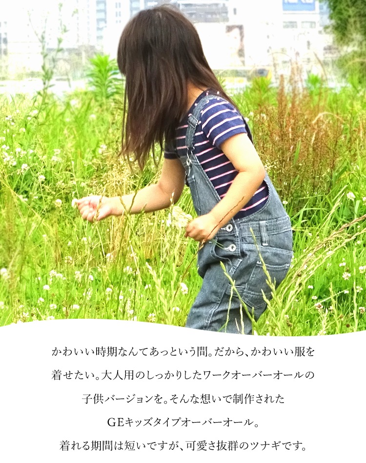 ̵ۡڼ󤻡 С å ڥå Ҷ 졼󥸥˥ GE-807 륤 ҥå꡼ 100cm150cm