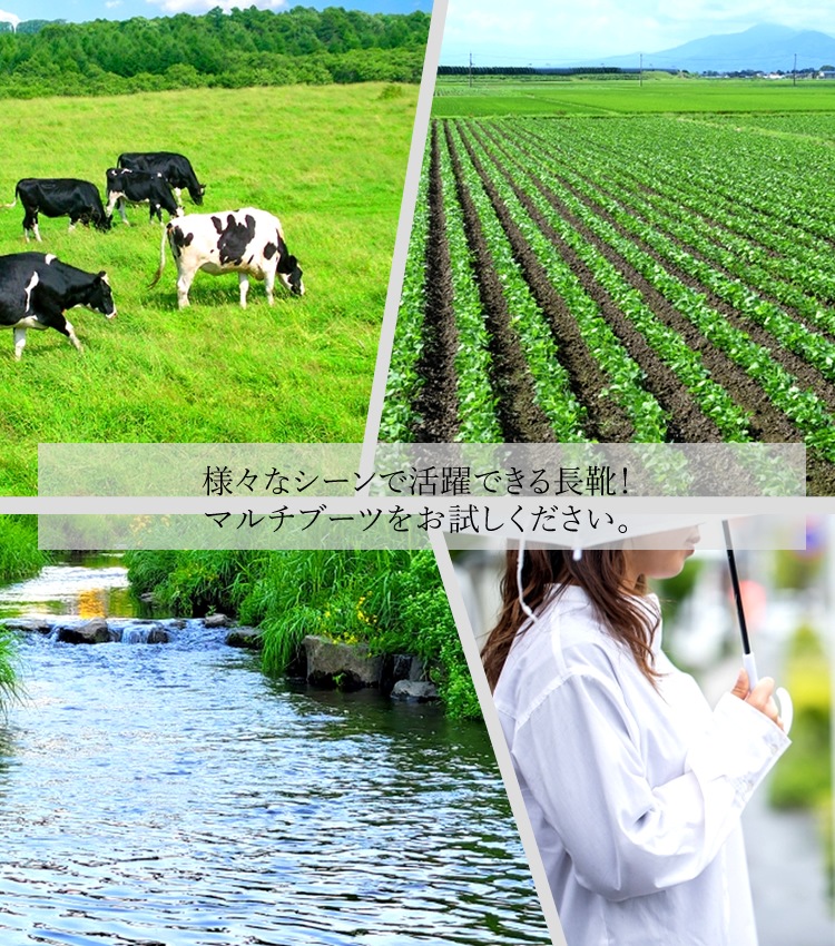 ����̵�� �Τ饹������ Ĺ�� ��� ��ǥ����� ����� �ե�����֡��� �ޥ���֡��� ���Ƚ��� �����ǥ˥� NS-660