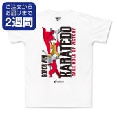 VICTORY�����̥ץ���T�����/�����