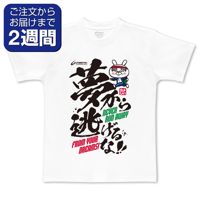 インターハイ 2017 クレーマー　Tシャツ　Lサイズ インターハイ 2017 クレーマーTシャツLサイズ