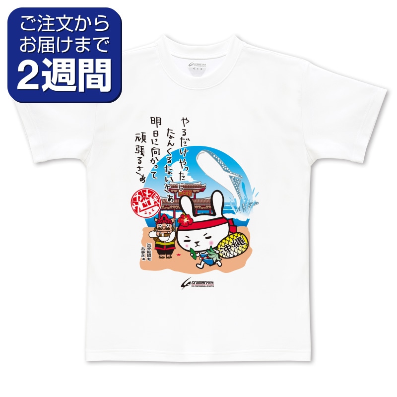 沖縄カメウサ（前面プリントTシャツ） | 定番デザインウェア,ご当地