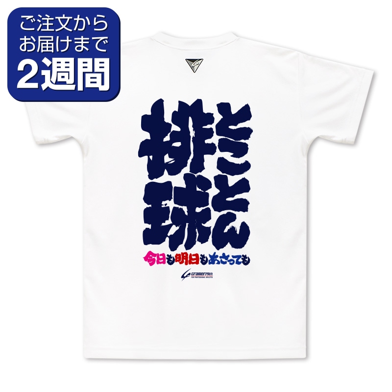 とことん排球（背面プリントTシャツ/バレー） | 定番デザインウェア