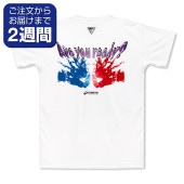 AreYouReady�����̥ץ���T�����/�����