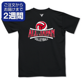 ALLJAPAN�ܡ�������̥ץ���T�����/�Х졼��