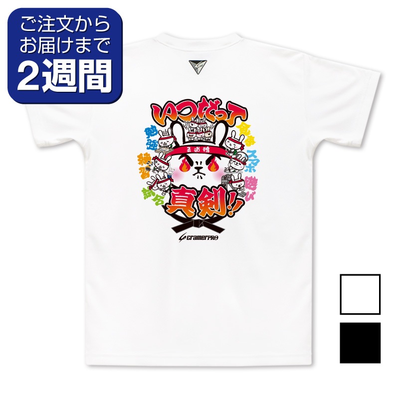 ���Ĥ��äơ����̥ץ���T�����/��ƻ��