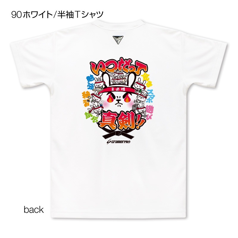 ���Ĥ��äơ����̥ץ���T�����/��ƻ��