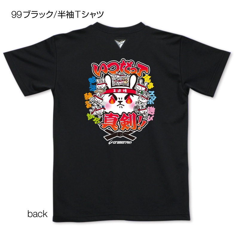 ���Ĥ��äơ����̥ץ���T�����/��ƻ��