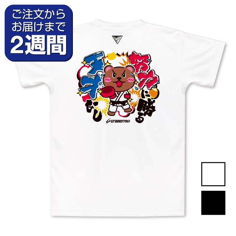 ���Ϥ˾���ŷ�ͤʤ������̥ץ���T�����/����ƻ��