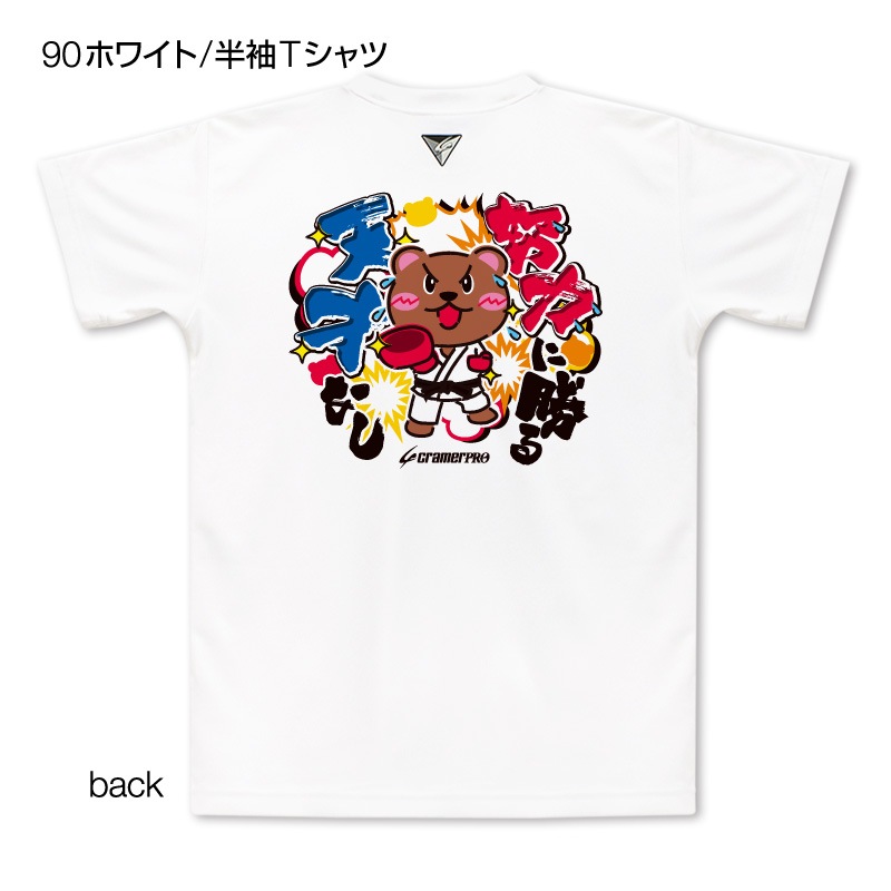 ���Ϥ˾���ŷ�ͤʤ������̥ץ���T�����/����ƻ��