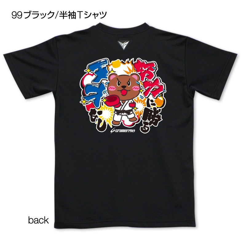 ���Ϥ˾���ŷ�ͤʤ������̥ץ���T�����/����ƻ��