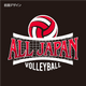 ALLJAPAN�ܡ�������̥ץ��ȥݥ������/�Х졼��