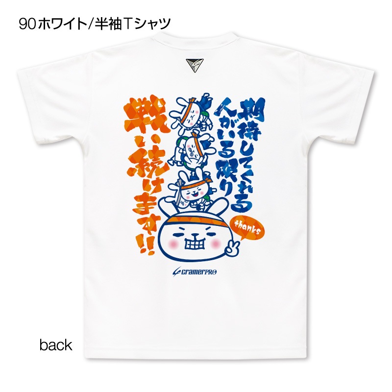 ���ԥ��ᥦ�������̥ץ���T�����/��ƻ��