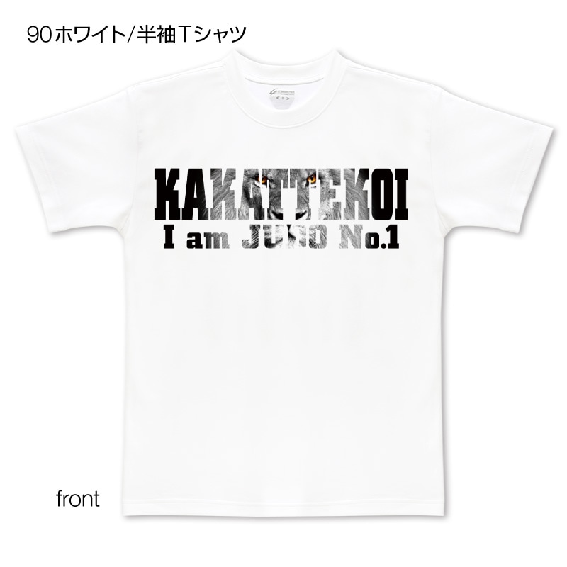 �饤��������̥ץ���T�����/��ƻ��