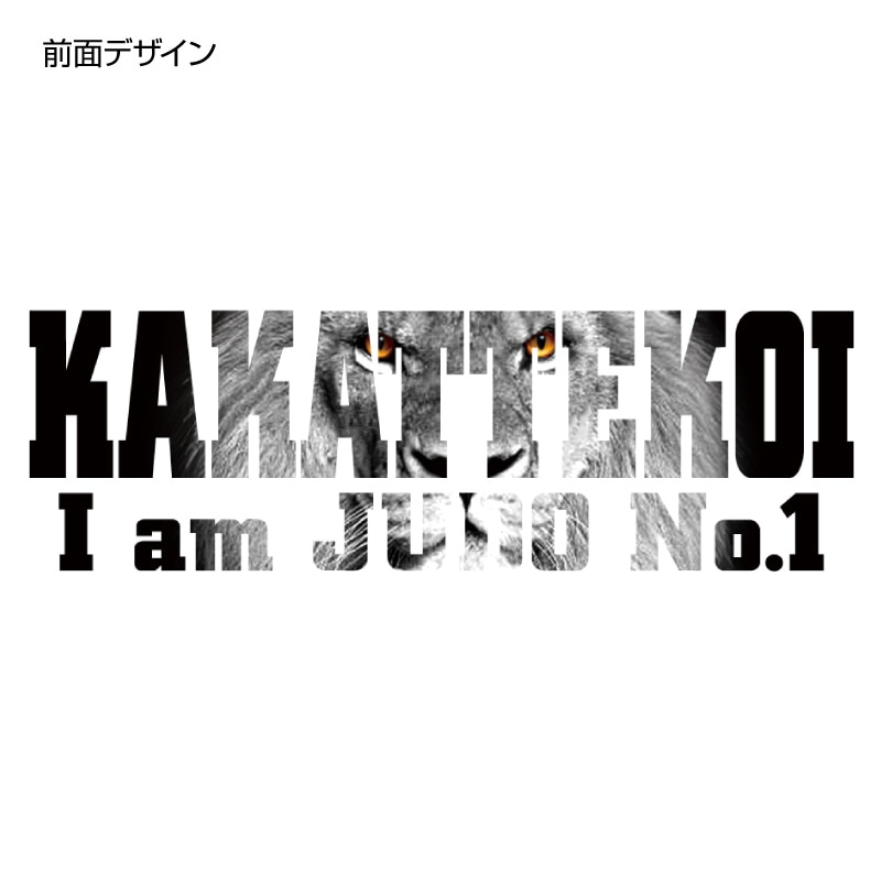 �饤��������̥ץ���T�����/��ƻ��