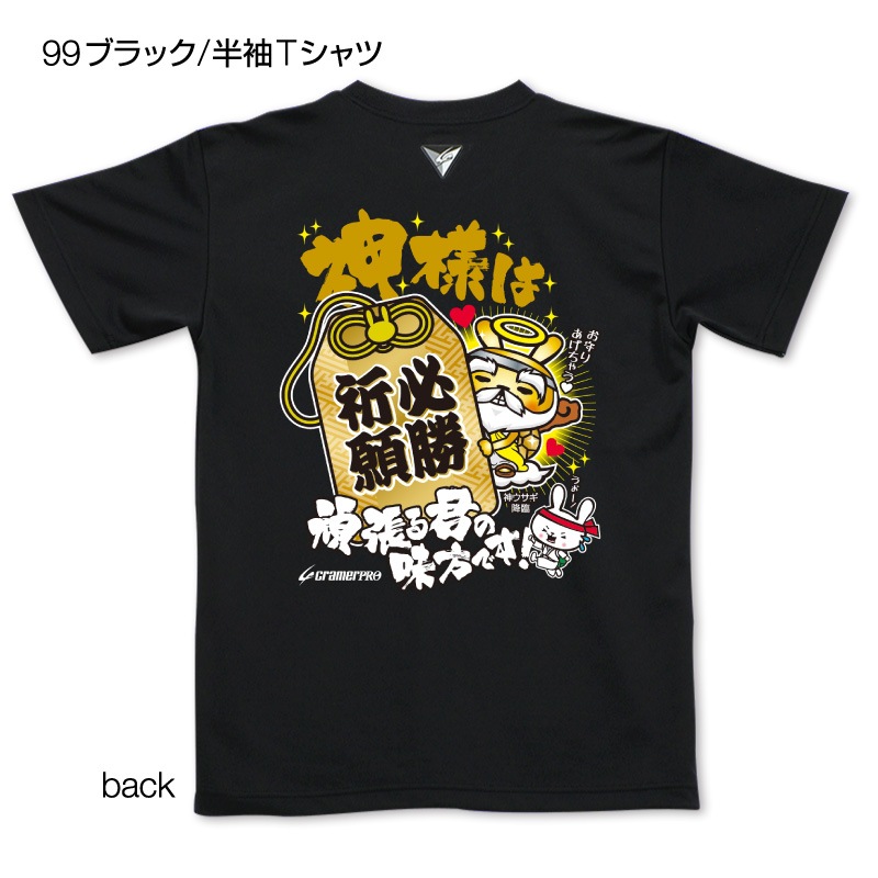 ɬ������������������̥ץ���T�����/��ƻ��