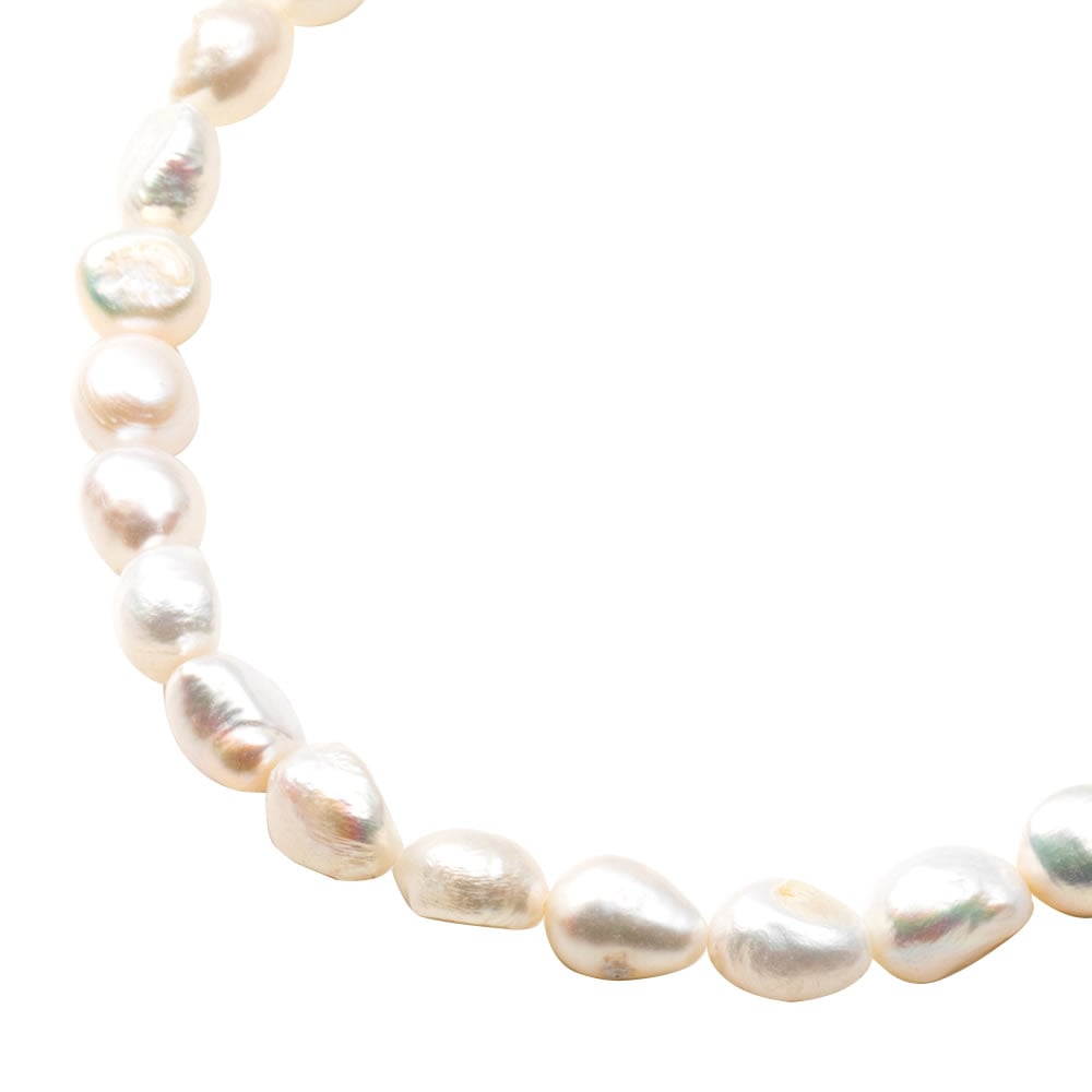 ڤ椦ѥåȡۥͥå쥹 ǥ 硼 øѡ ѡ ѡͥå쥹   쥬 줤 奢 ץ եߥ˥