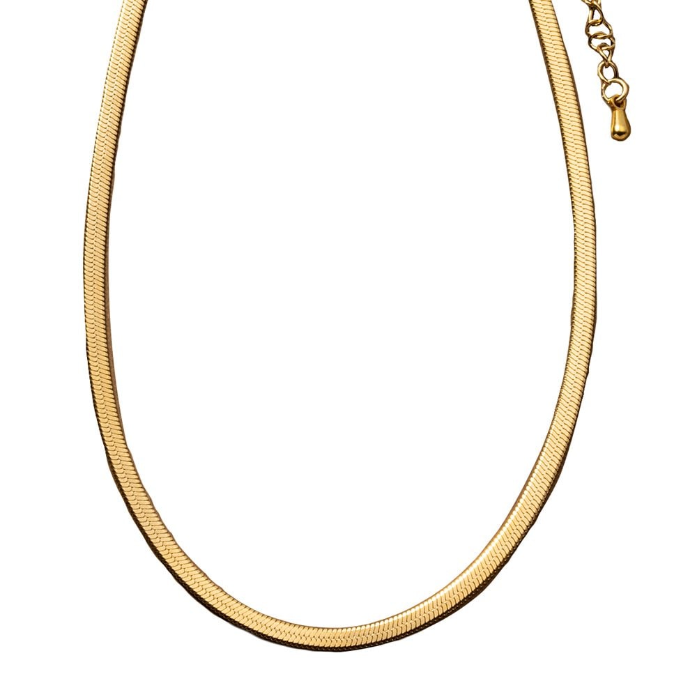 ڤ椦ѥåȡۥƥ쥹 硼 ͥå쥹 °륮 ĤäѤʤ 륹ƥ쥹 ǥ ͡  Ĥ 磻  