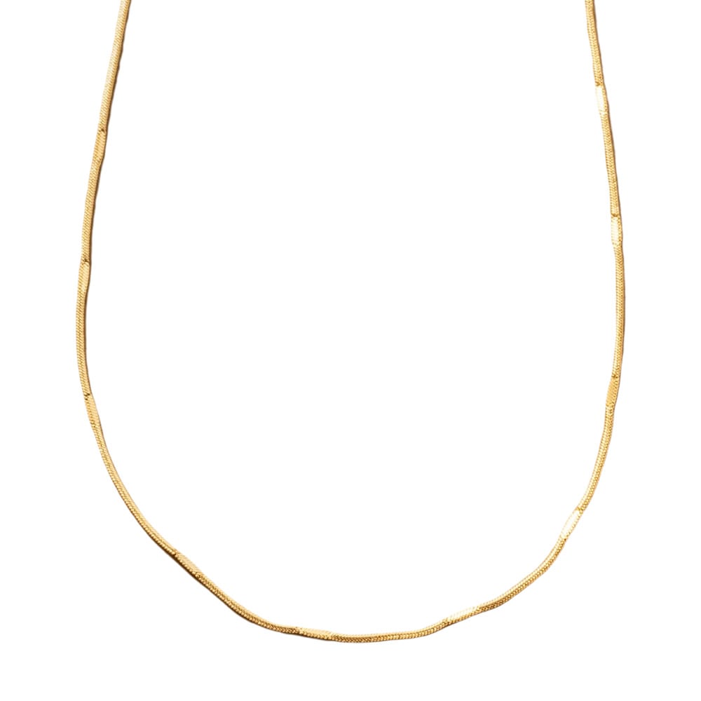 �ڥ��������륹�ƥ�쥹�ۥ��ƥ�쥹�� �ͥå��쥹 ��°����륮�� �Ĥ��äѤʤ� ���������륹�ƥ�쥹 ��ǥ����� ���硼�� ���ơ������������� �ե�å� ����ץ� ��� ���� ������� ����С� �ԥ󥯥������