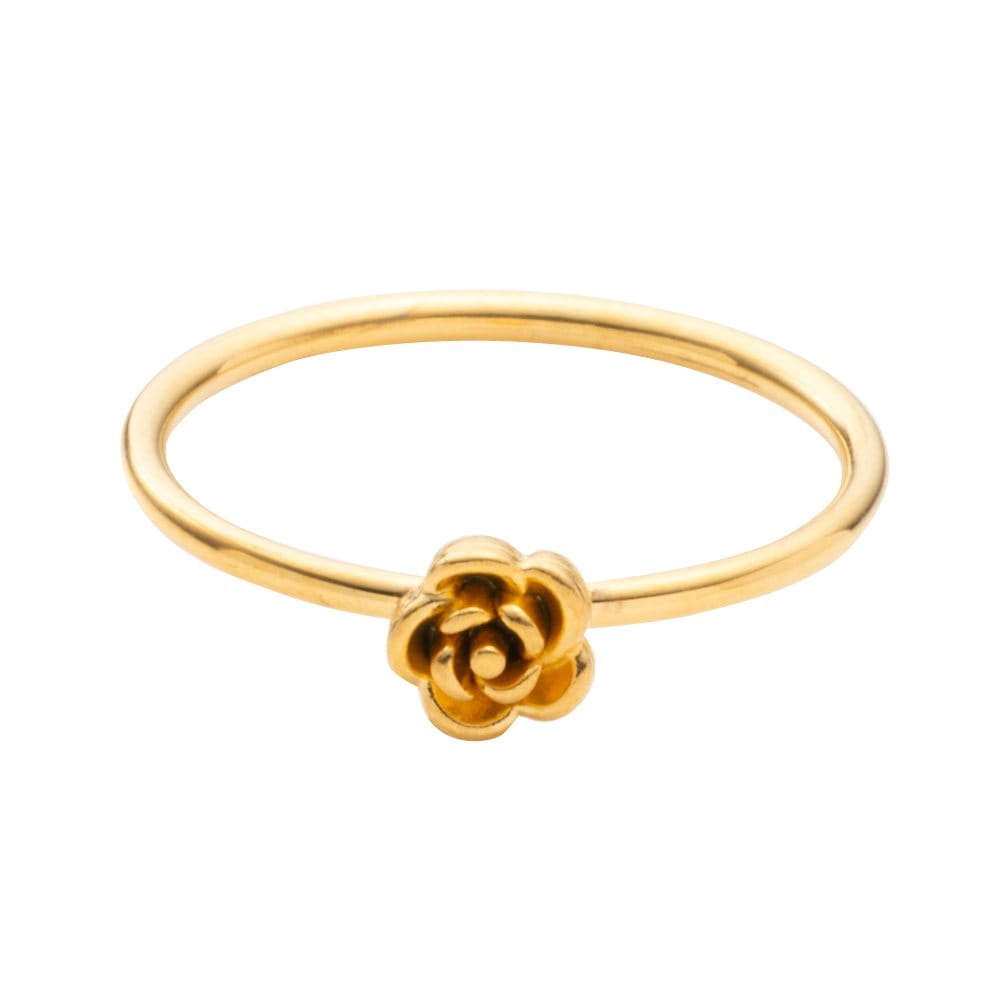 ڤ椦ѥåȡ ƥ쥹   °륮 ĤäѤʤ 륹ƥ쥹 ǥ ե ᥿   9 12 15 17 20  С outlet