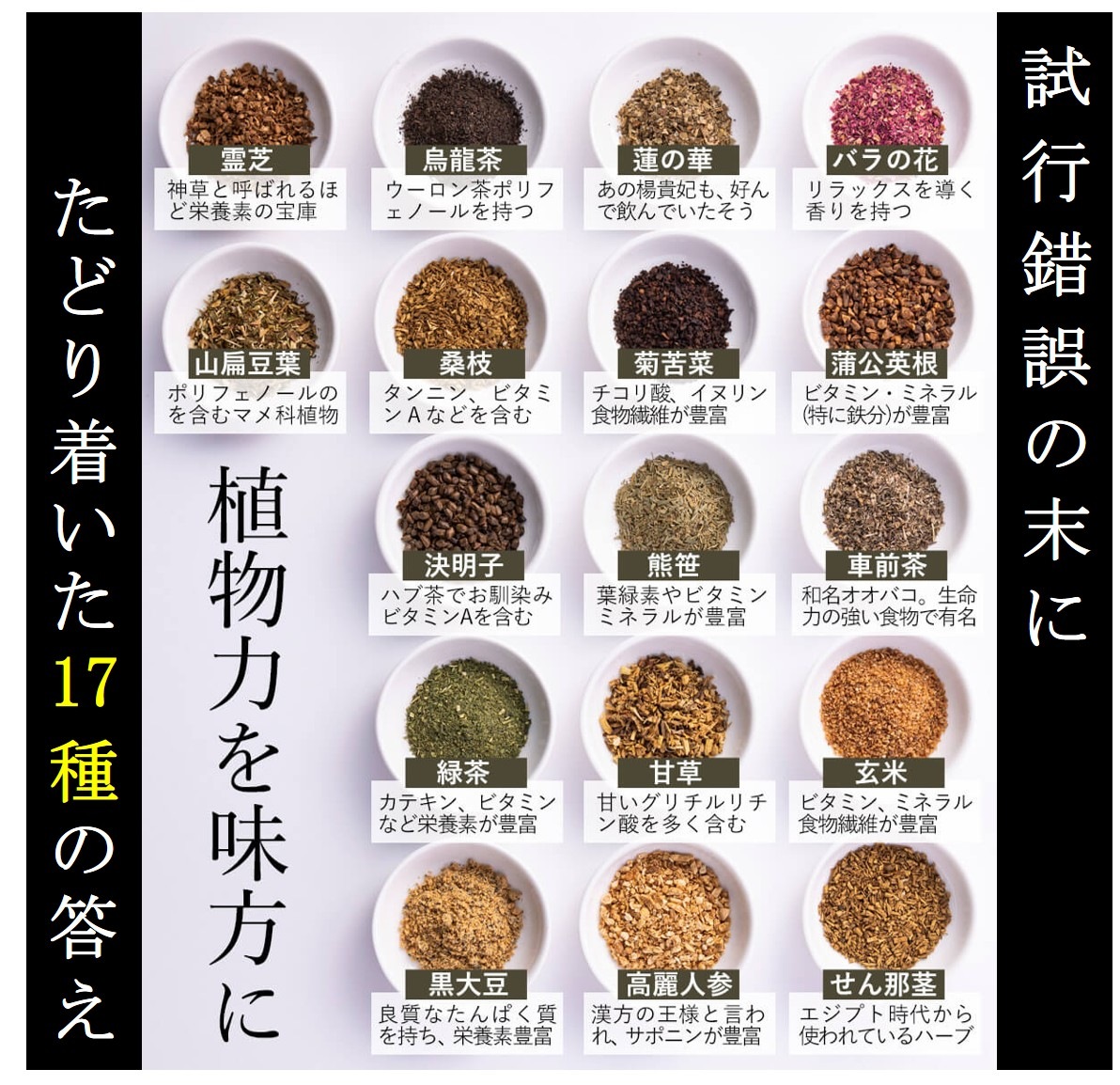 上海康茶｜人生に輝きを【CREAS（クレアス）オンラインショップ】