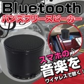 BL-46 Bluetooth ϥ󥺥ե꡼ԡ | Bluetooth