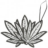 OA-TPH-6 إץեåʡ ֥꡼ 3P |  ߤ겼