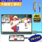 KD-221������HDMI�Ѵ������֥롡Type-C���ѡ�4�ˡ�2����AC�������֥롿��BK����