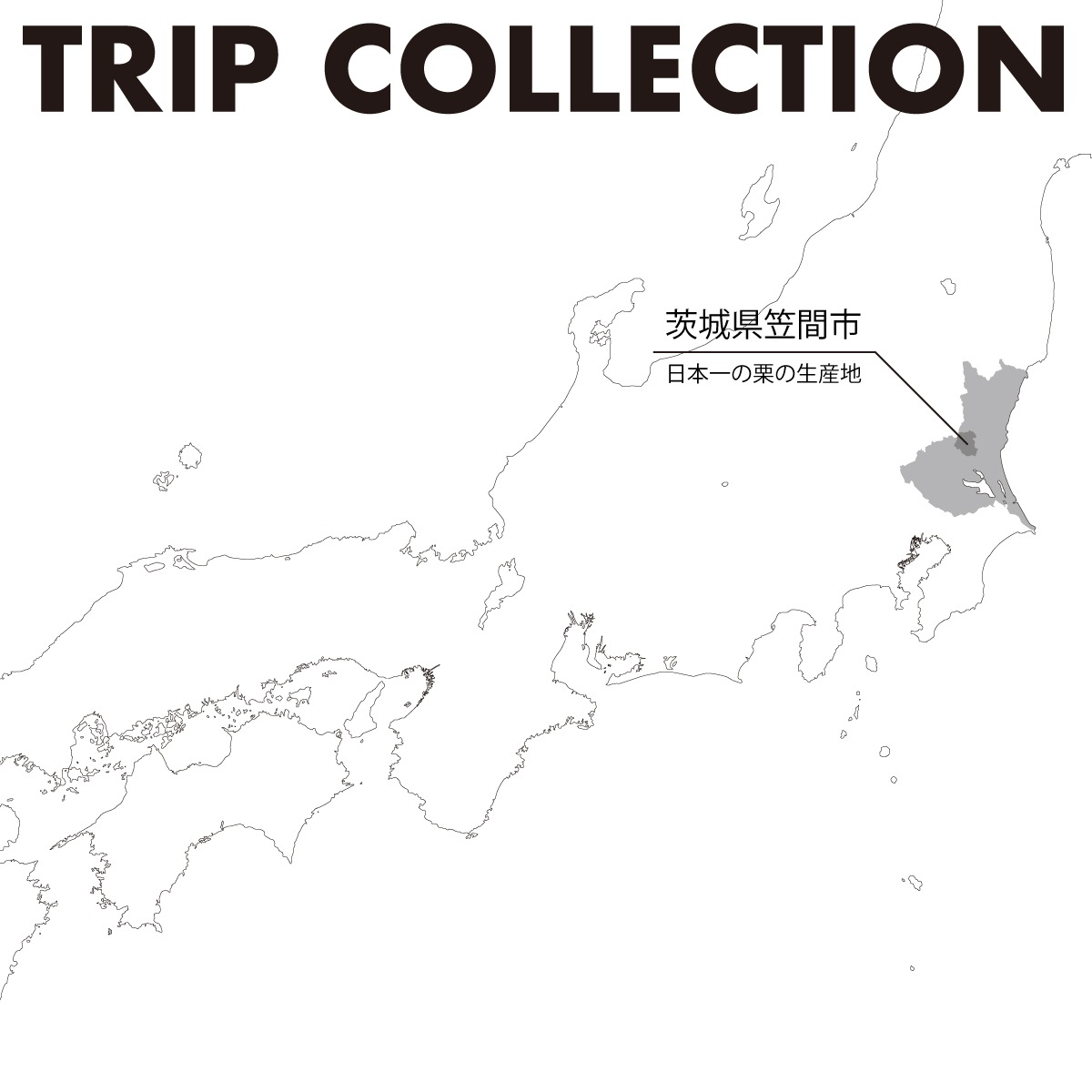 TRIP COLLECTION box(2ġץ졼2)