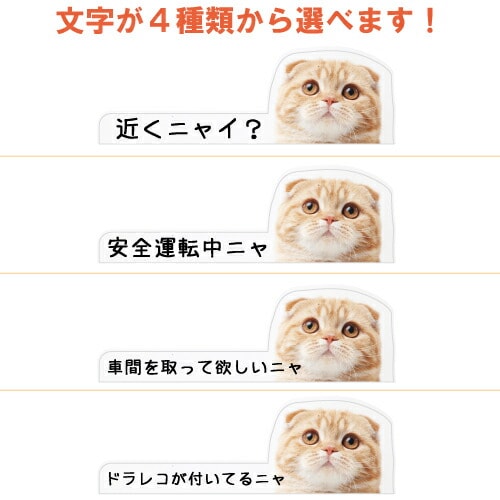 猫イラスト 追突防止 煽り運転 対策 ステッカー A-19 ねこ ネコ 妨害運転 煽り 前後方向 録画中 記録中 rec シール デカール