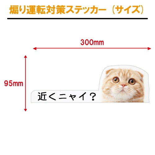 猫イラスト 追突防止 煽り運転 対策 ステッカー A-19 ねこ ネコ 妨害運転 煽り 前後方向 録画中 記録中 rec シール デカール