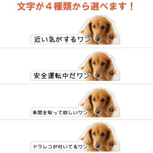 犬イラスト 追突防止 煽り運転 対策 ステッカー A-20 いぬ イヌ 妨害運転 煽り 前後方向 録画中 記録中 rec シール デカール