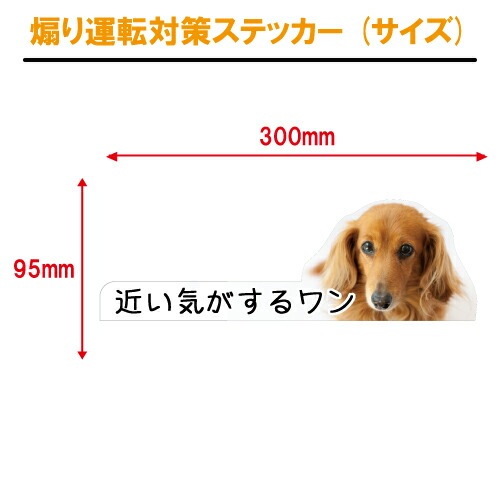 犬イラスト 追突防止 煽り運転 対策 ステッカー A-20 いぬ イヌ 妨害運転 煽り 前後方向 録画中 記録中 rec シール デカール