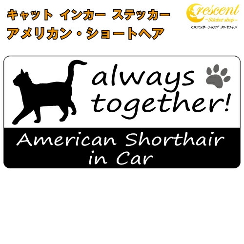 アメリカン・ショートヘア american shorthair in Car ステッカー プリントタイプ 【Cat in Car キャット インカー 猫 シール デカール】【文字変更可】