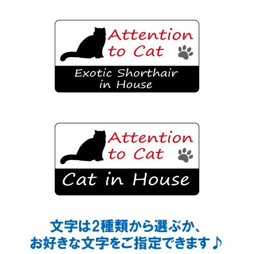 エキゾチックショートヘア イン ハウス ステッカー 【猫 cat in house キャット シール 防犯 exotic shorthair】【文字変更可】