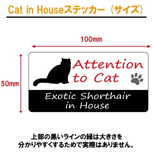 エキゾチックショートヘア イン ハウス ステッカー 【猫 cat in house キャット シール 防犯 exotic shorthair】【文字変更可】