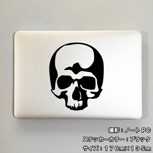 アンティーク　スカル　髑髏　骸骨　ポストカード　ビンテージ　パイレーツ　レトロ アンティーク スカル 髑髏 骸骨 ポストカード ビンテージ パイレーツ