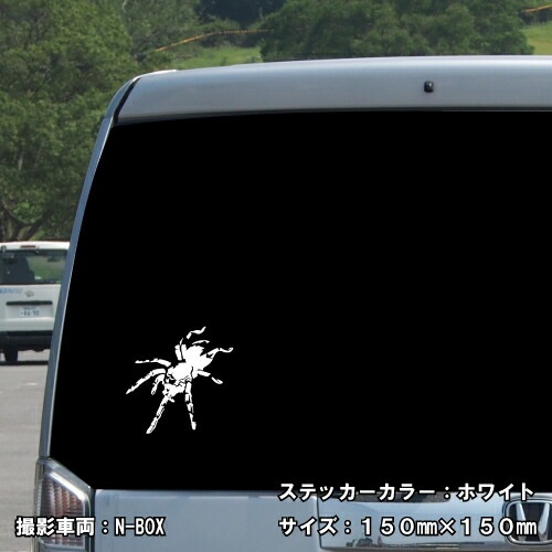 スパイダー ステッカー 01【5サイズ 全26色】【クモ くも 蜘蛛 トライバル タトゥー ちょいワル 傷隠し ヤンキー オラオラ系 かっこいい シール デカール スマホ 車 バイク ヘルメット】