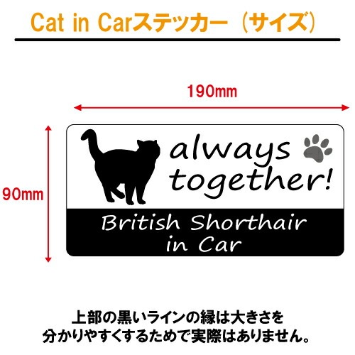 ブリティッシュ・ショートヘア british shorthair in Car ステッカー プリントタイプ 【Cat in Car キャット インカー 猫 シール デカール】【文字変更可】