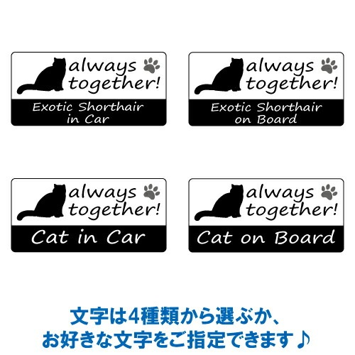 エキゾチックショートヘア exotic shorthair in Car ステッカー プリントタイプ 【Cat in Car キャット インカー 猫 シール デカール】【文字変更可】